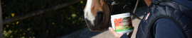 Repelentes de Insectos para Caballo