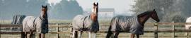 Outdoor Rugs for Horses