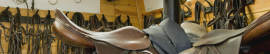 Horse Trunks