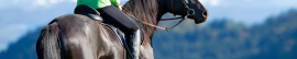 Rutas y Excursiones a Caballo