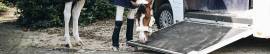 Protectores de Transporte para Caballo