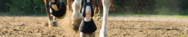 Campanas para Caballo